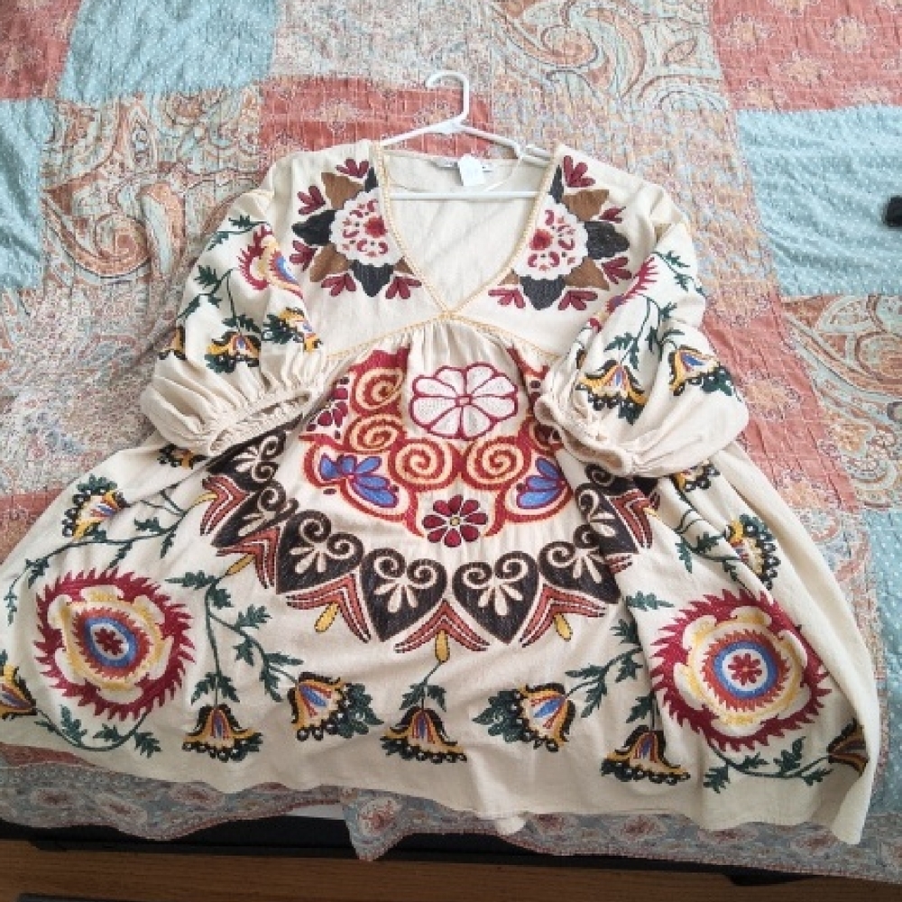 Zara Multicolor Embroidered Long Sleeve Dress